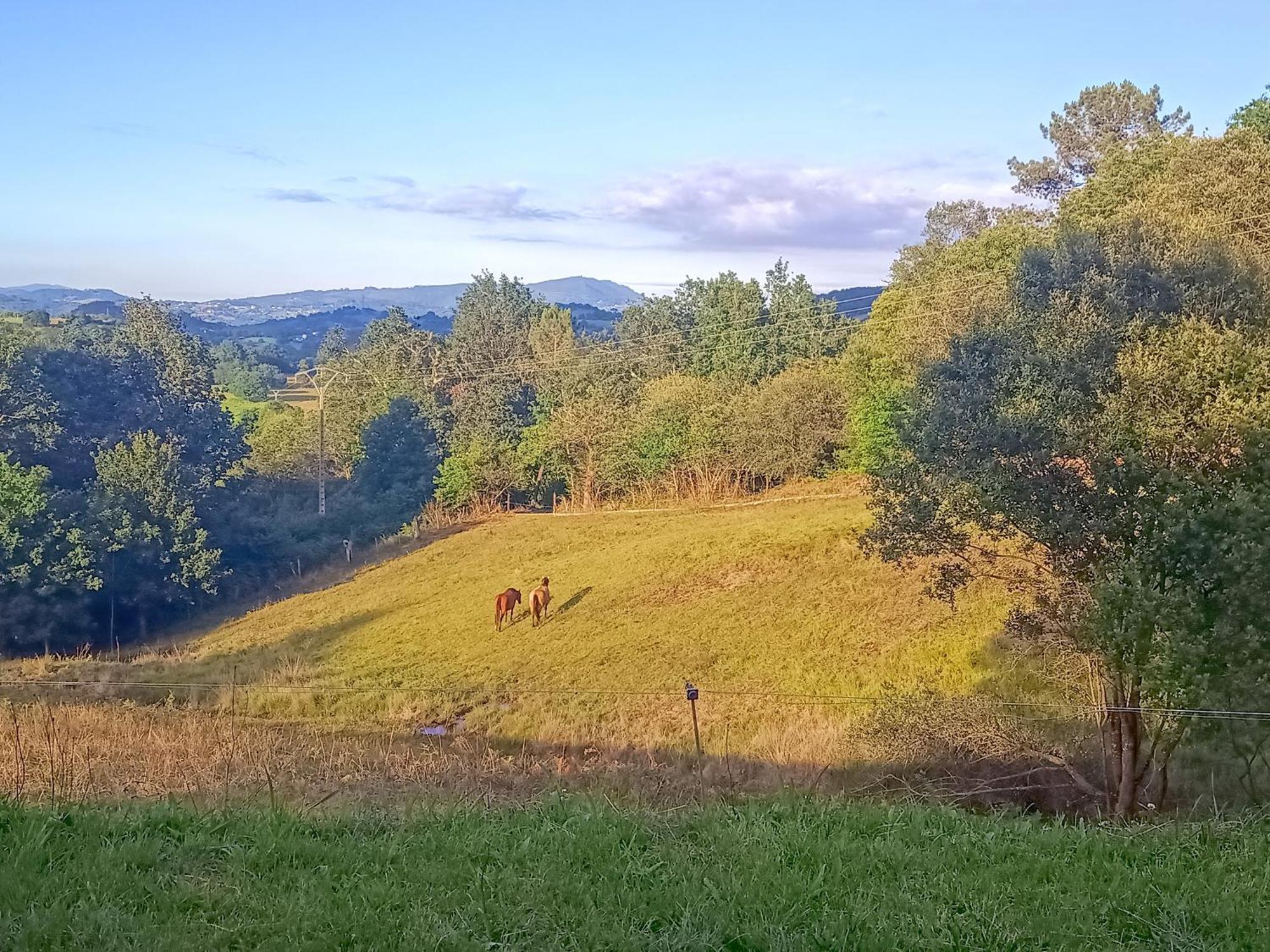 Casa Rural Tulia Grado Kültér fotó