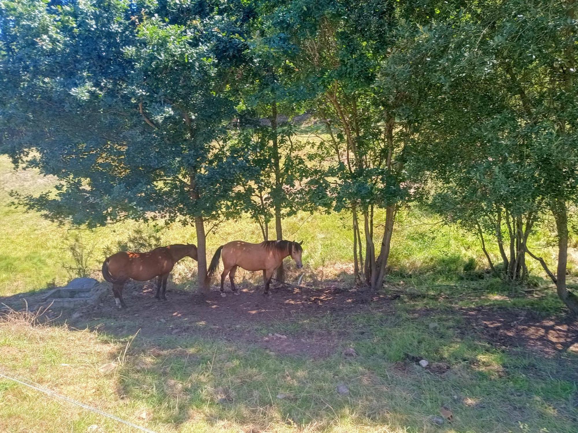 Casa Rural Tulia Grado Kültér fotó